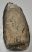 Mammuthus sp. partial tooth (2076 grams) SOLD (E) 10