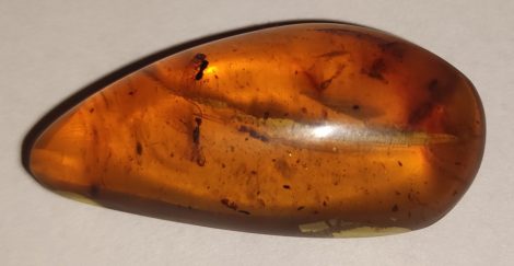 Hymenoptera in burmese amber from Myanmar (30 mm x 15 mm x 9 mm)