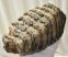 Mammuthus meridionalis tooth (2453 grams) Southern mammoth molar