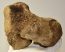 Mammuthus cf. meridionalis partial calcaneus bone