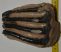 Mammuthus meridionalis partial tooth (1859 grams)