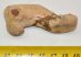 Monachopsis pontica fóka felkar csont Oroszországból