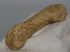 Ursus spelaeus metapodium bone (85,7 mm)