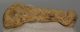 Ursus spelaeus metapodium bone (85,7 mm)
