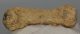 Ursus spelaeus metapodium bone (85,7 mm)