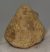Ursus spelaeus metapodium bone (85,7 mm)