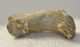  Ursus spelaeus toe bone (38 mm)