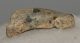 Ursus spelaeus ujjperc csont (41,6 mm)