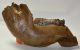 Mammuthus primigenius partial jaw (10,6 Kg) Woolly Mammoth