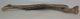 Bison priscus lower left jaw (497 mm) Bison priscus lower left jaw (497 mm)