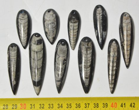 10 db Orthoceras medál (73,4 - 43,4 mm)