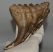 Elephas antiquus tooth (631 grams) Palaeoloxodon antiquus