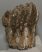 Mammuthus meridionalis partial tooth (1237 grams)