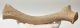 Rangifer tarandus partial antler (Reindeer)