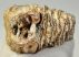 Mammuthus primigenius partial tooth (991 grams)