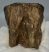 Mammuthus meridionalis tooth (396 grams) Southern Mammoth molar