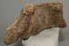 Mammuthus primigenius részleges csigolya csont (1131 gramm)