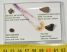 3 féle meteoritot és egy tektitet tartalmazó kis gyűjtemény