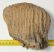 Mammuthus primigenius fog (1548 gramm) gyapjas mamut