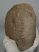 Mammuthus meridionalis részleges csigolya csont (1820 gramm) Mammuthus meridionalis részleges csigolya csont (1820 gramm)
