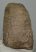 Mammuthus meridionalis részleges csigolya csont (1820 gramm) Mammuthus meridionalis részleges csigolya csont (1820 gramm)