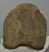 Mammuthus meridionalis részleges csigolya csont (1820 gramm) Mammuthus meridionalis részleges csigolya csont (1820 gramm)