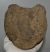 Mammuthus meridionalis részleges csigolya csont (1820 gramm) Mammuthus meridionalis részleges csigolya csont (1820 gramm)