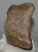 Mammuthus meridionalis részleges csigolya csont (1820 gramm) Mammuthus meridionalis részleges csigolya csont (1820 gramm)