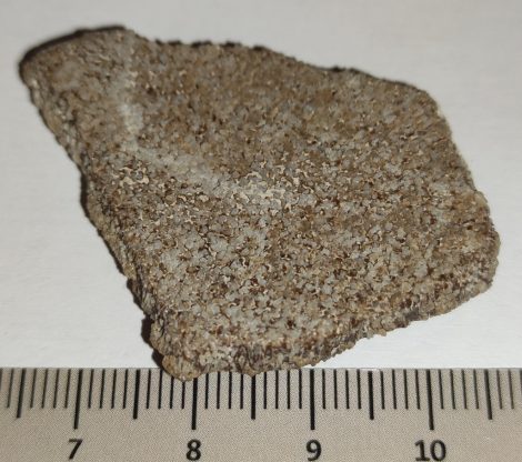 Saltasaurus dinoszaurusz tojás hély (38,2 mm x 33,9 mm)
