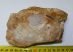 Agate-edged petrified wood limnokcarcit in rock