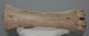 Bison priscus partial metacarpus bone (276 mm)