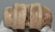 Bison priscus partial metacarpus bone (276 mm)