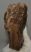Mammuthus primigenius tooth (1454 grams)