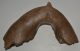 Mammuthus primigenius partial jaw bone (7540 grams)
