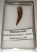 Phytosaur tooth from New Mexico