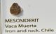  A small collection of 3 meteorites and a tektite