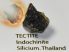  A small collection of 3 meteorites and a tektite