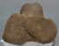 Mammuthus meridionalis részleges calcaneus csont (1525 gramm)