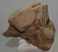 Mammuthus sp. részleges calcaneus csont (1320 gramm)